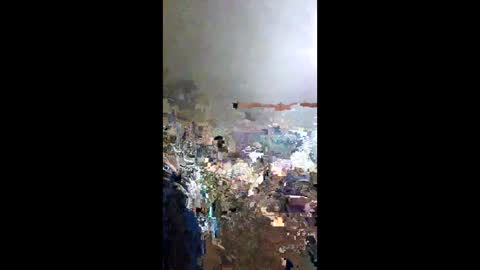 senor49509 online show from January 2025 03:51:01 AM