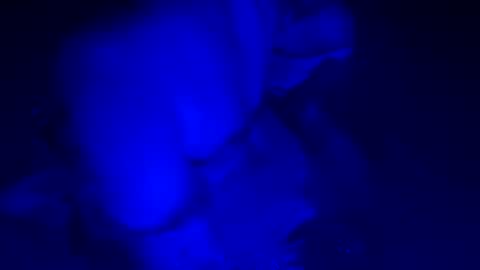 sensualsilhoutte online show from July 2026 04:04:02 AM