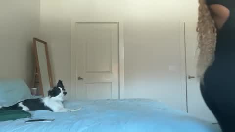 Snapshot of serenitybee chatting on November 2025 05:52:01 PM Serenity Bee online show from November 2025 05:52:01 PM