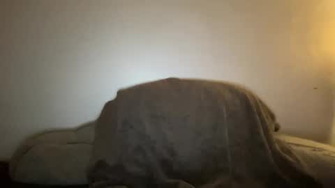 Snapshot of seroc12345 chatting on January 2025 02:47:01 AM Seroc online show from January 2025 02:47:01 AM