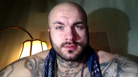 SevenDragons online show from February 2026 06:49:02 PM