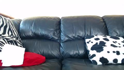 Snapshot of sex_gaming chatting on May 2026 01:49:02 PM sex_gaming online show from May 2026 01:49:02 PM