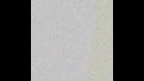 dankdiggler online show from December 2025 10:09:02 AM