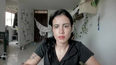         online show from May 2026 04:03:01 PM