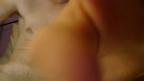 sexxxylibra10 online show from September 2025 09:55:02 AM