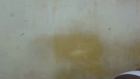 sexy_candy9 online show from January 2026 07:30:01 PM