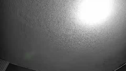 ELY online show from June 2026 07:38:02 PM
