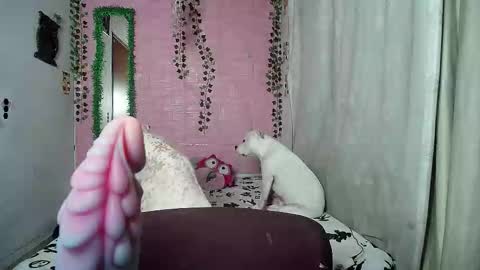 Snapshot of sexy_lolas chatting on February 2026 02:19:02 AM sexy lolas online show from February 2026 02:19:02 AM