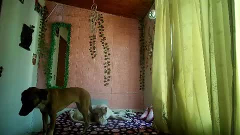 Snapshot of sexy_lolas chatting on July 2026 08:46:01 PM sexy lolas online show from July 2026 08:46:01 PM