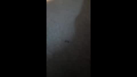 PhatBootyLightBright online show from April 2026 02:59:01 PM