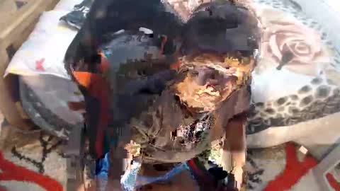 Snapshot of sexyjustin202 chatting on November 2025 02:45:02 AM sexyjustin202 online show from November 2025 02:45:02 AM