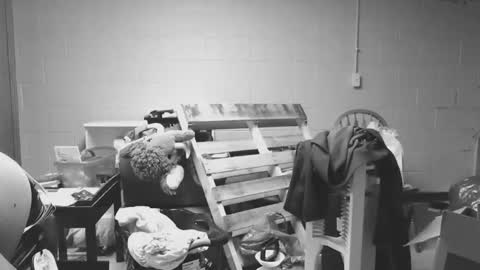 Snapshot of sexyshavenboi chatting on January 2026 12:54:02 PM sexyshavenboi online show from January 2026 12:54:02 PM