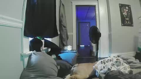 sexystripper69 online show from May 2026 09:12:02 PM