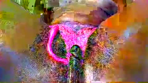 sexyy_pussy4147 online show from May 2026 09:06:01 AM