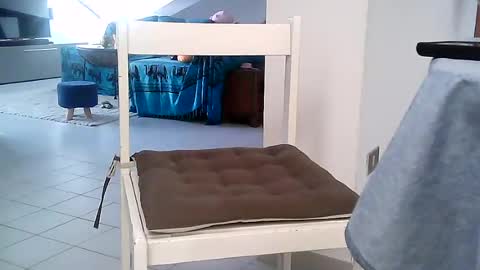 sexzob_81 online show from July 2026 05:25:02 AM