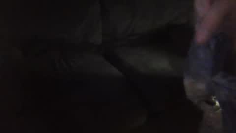 shae6969nme online show from March 2026 02:06:01 AM