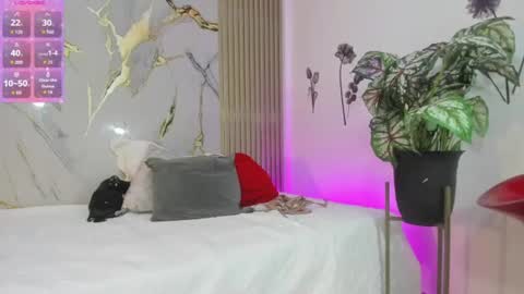 shalomexotic online show from July 2026 12:18:02 PM