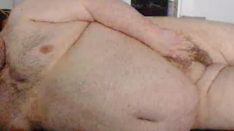 shanata1 online show from January 2025 09:02:01 AM