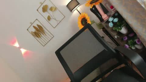 MISS SHANE online show from July 2026 01:53:01 AM