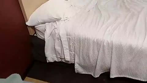 Shane Phantoms online show from January 2025 07:34:02 PM