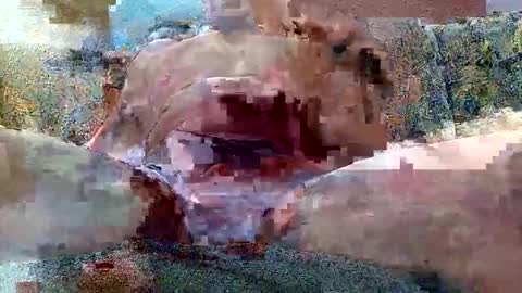 excelo21 online show from October 2025 07:14:01 AM