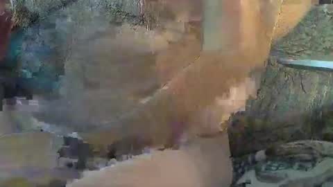 Snapshot of sharkey644 chatting on November 2025 04:40:01 PM Sharkey644 online show from November 2025 04:40:01 PM