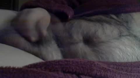 Snapshot of sharkey644 chatting on March 2026 09:04:01 AM Sharkey644 online show from March 2026 09:04:01 AM