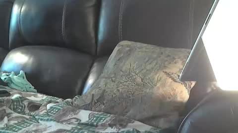 Snapshot of sharkey644 chatting on March 2026 03:28:02 PM Sharkey644 online show from March 2026 03:28:02 PM