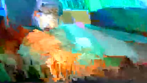 Shamroc online show from May 2026 06:41:02 AM
