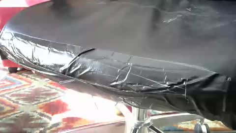 shavedassballs online show from October 2025 03:13:01 PM