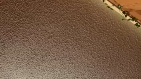 shaytin0 online show from December 2025 04:47:01 PM