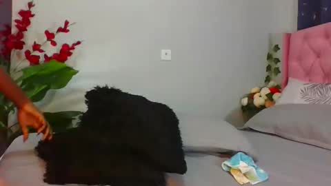 Snapshot of shelia420715 chatting on April 2026 02:55:01 AM shelia420715 online show from April 2026 02:55:01 AM