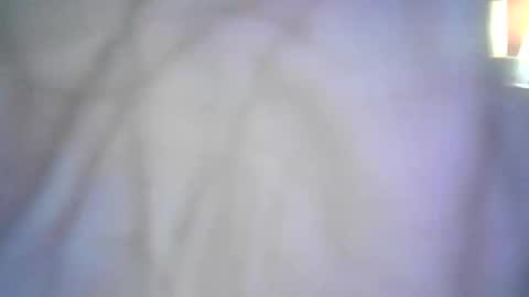 shellbel46290 online show from January 2026 05:00:02 AM