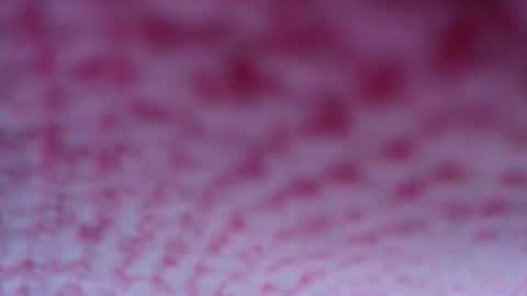 Snapshot of shelsyzevee_ chatting on October 2025 04:50:01 PM shelsyzevee_ online show from October 2025 04:50:01 PM