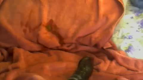 Snapshot of sherbearxrayghost chatting on April 2026 03:23:01 PM sherbearxrayghost online show from April 2026 03:23:01 PM