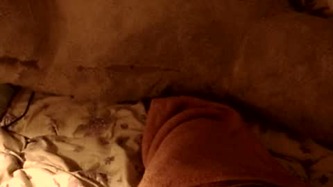 sherbearxrayghost online show from August 2026 12:32:02 PM