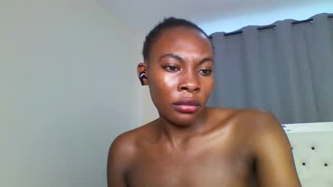 Shireline online show from February 2025 02:16:01 PM