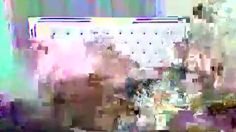 Shireline online show from February 2025 11:30:02 PM