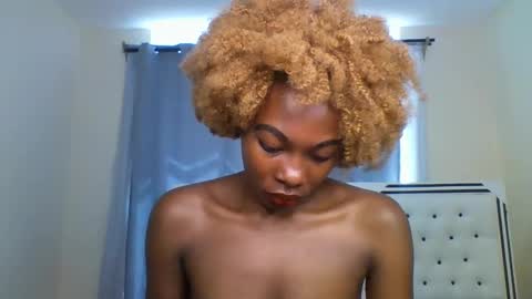 Shireline online show from March 2025 07:36:01 AM