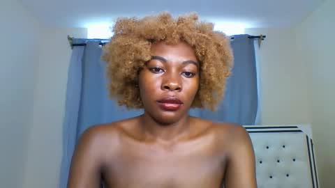 Shireline online show from March 2025 08:29:01 AM