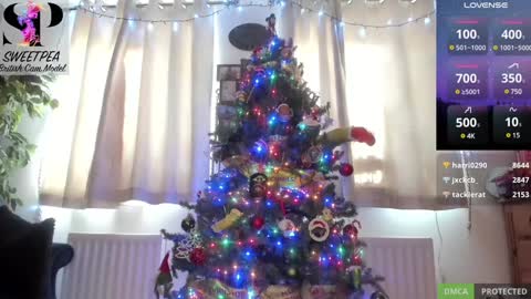 short sweetpea online show from December 2024 01:16:02 PM