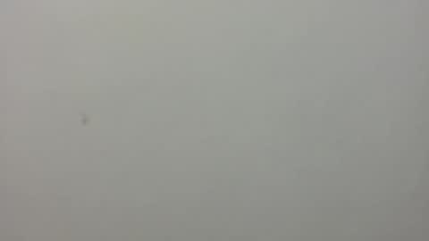 show_on_for_you online show from March 2026 09:09:01 PM