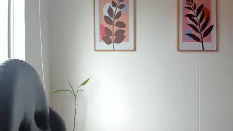 shylittlebunny online show from June 2026 03:34:02 PM
