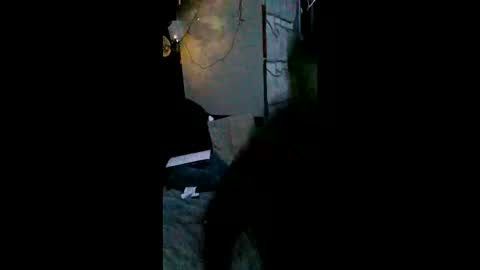 Snapshot of shylom chatting on February 2026 05:26:01 AM shylom online show from February 2026 05:26:01 AM