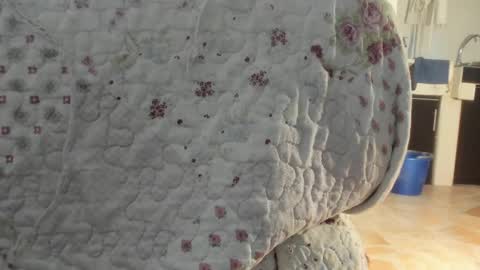 sienna_glow online show from May 2026 11:49:02 AM