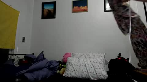 Snapshot of sierrasquirter chatting on January 2025 04:41:02 AM Sierra online show from January 2025 04:41:02 AM