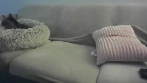 Lady Sif online show from February 2026 02:29:01 AM