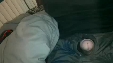 Snapshot of silentstiffler chatting on November 2025 04:27:01 AM silentstiffler online show from November 2025 04:27:01 AM