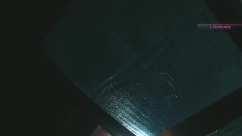 silvabranko online show from April 2026 02:09:01 AM