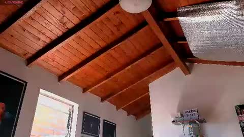 silvabranko online show from June 2026 03:09:01 PM